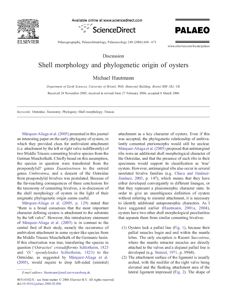 Shell morphology and phylogenetic origin of oysters