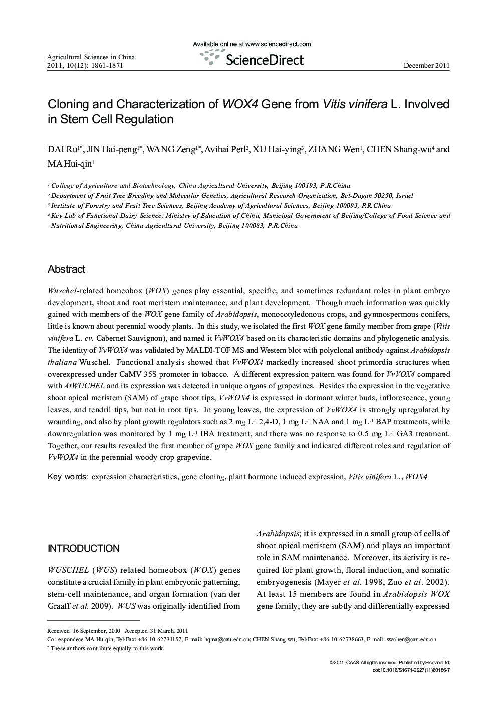 Cloning and Characterization of WOX4 Gene from Vitis vinifera L. Involved in Stem Cell Regulation