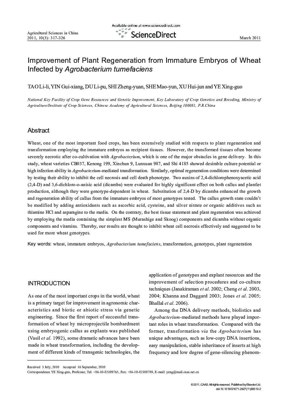 Improvement of Plant Regeneration from Immature Embryos of Wheat Infected by Agrobacterium tumefaciens