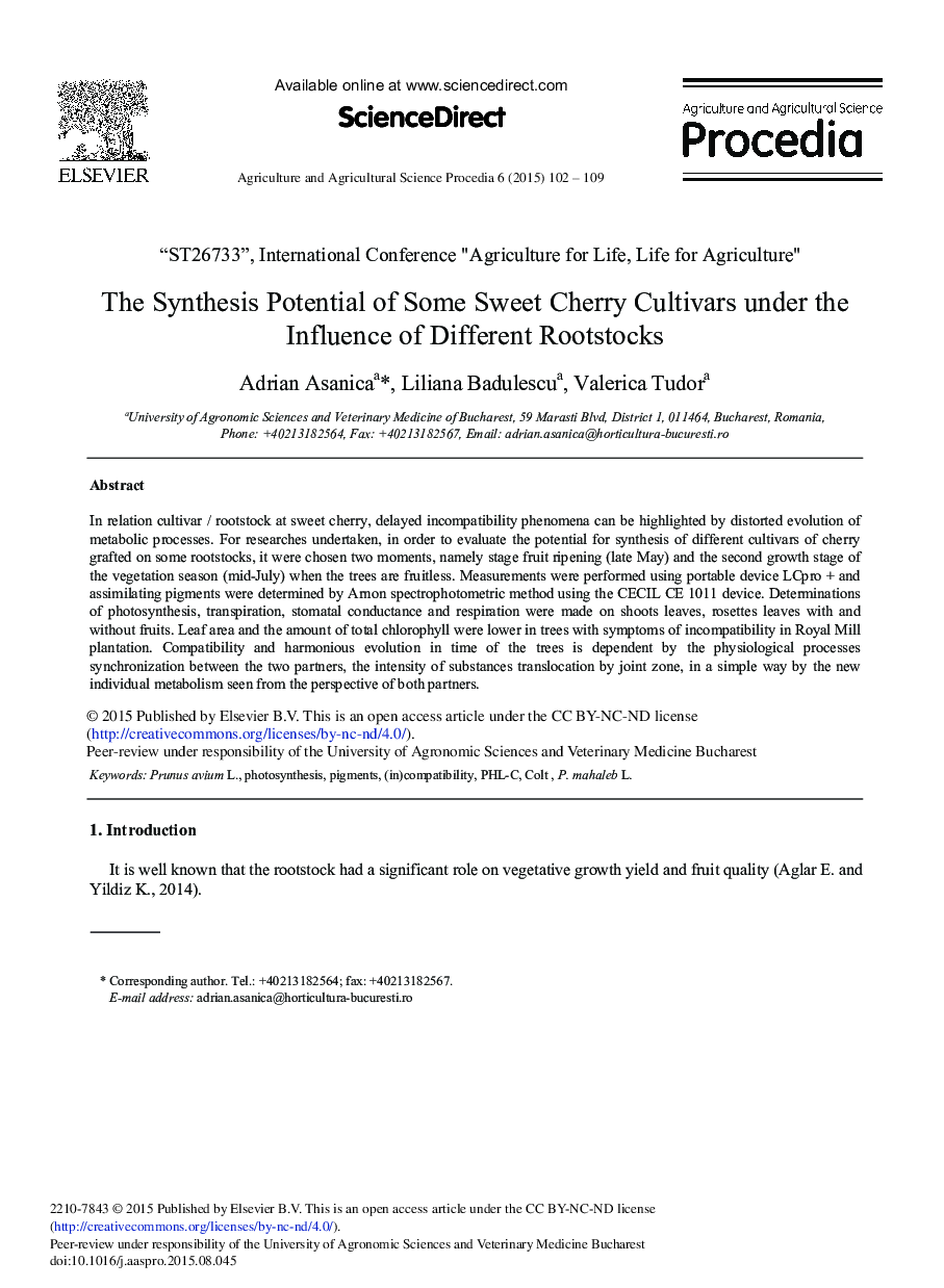 The Synthesis Potential of Some Sweet Cherry Cultivars under the Influence of Different Rootstocks 