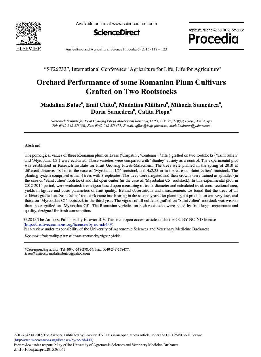 Orchard Performance of some Romanian Plum Cultivars Grafted on Two Rootstocks 