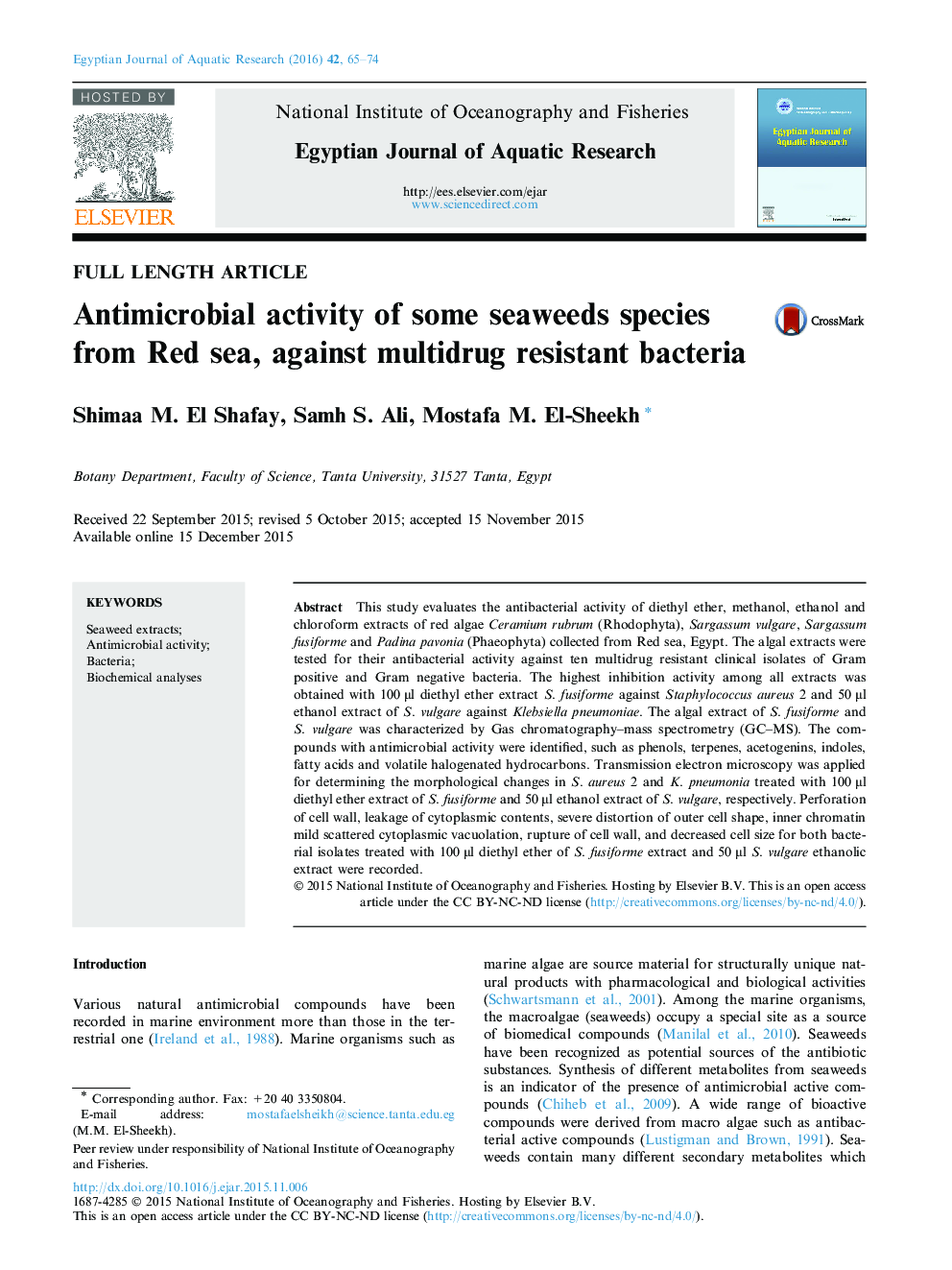 Antimicrobial activity of some seaweeds species from Red sea, against multidrug resistant bacteria 