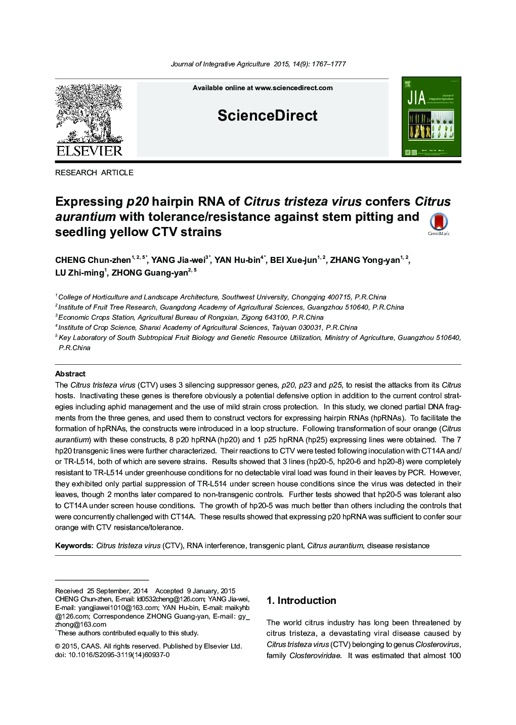 Expressing p20 hairpin RNA of Citrus tristeza virus confers Citrus aurantium with tolerance/resistance against stem pitting and seedling yellow CTV strains