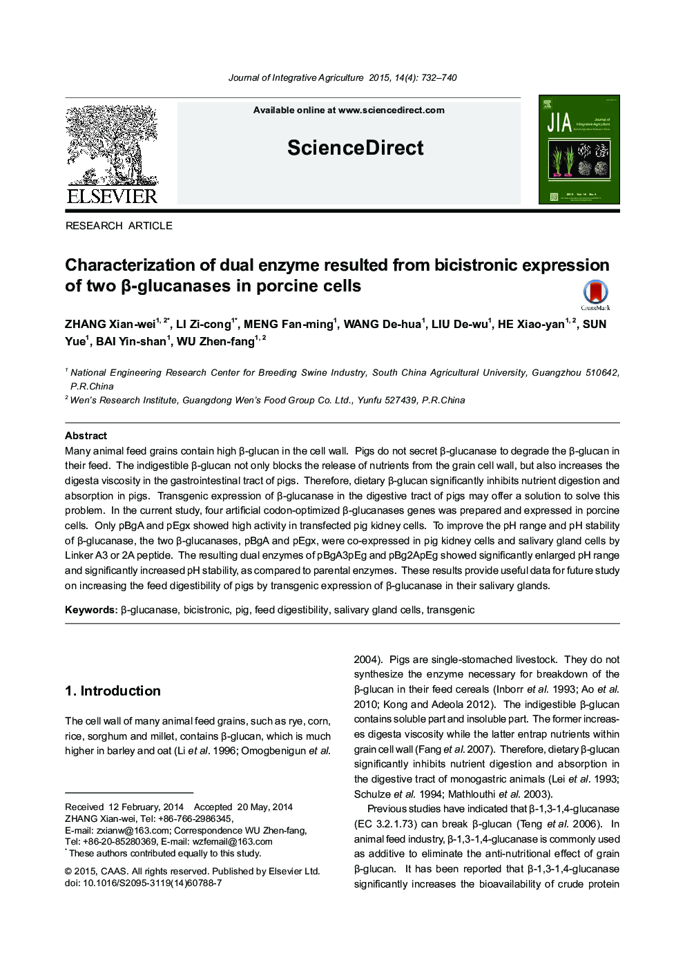 Characterization of dual enzyme resulted from bicistronic expression of two β-glucanases in porcine cells