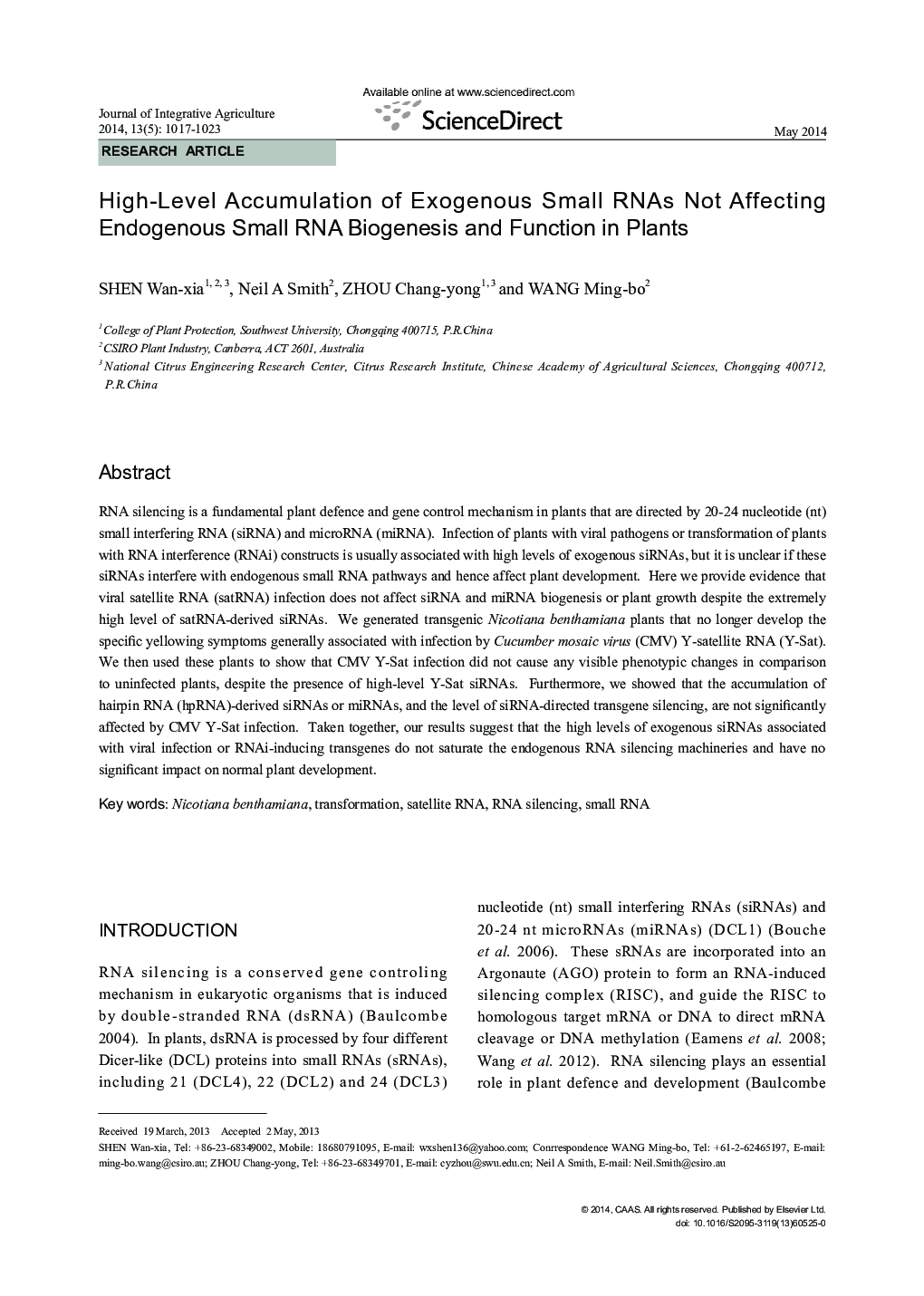 High-Level Accumulation of Exogenous Small RNAs Not Affecting Endogenous Small RNA Biogenesis and Function in Plants