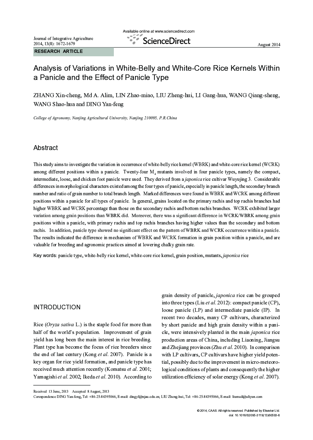 Analysis of Variations in White-Belly and White-Core Rice Kernels Within a Panicle and the Effect of Panicle Type