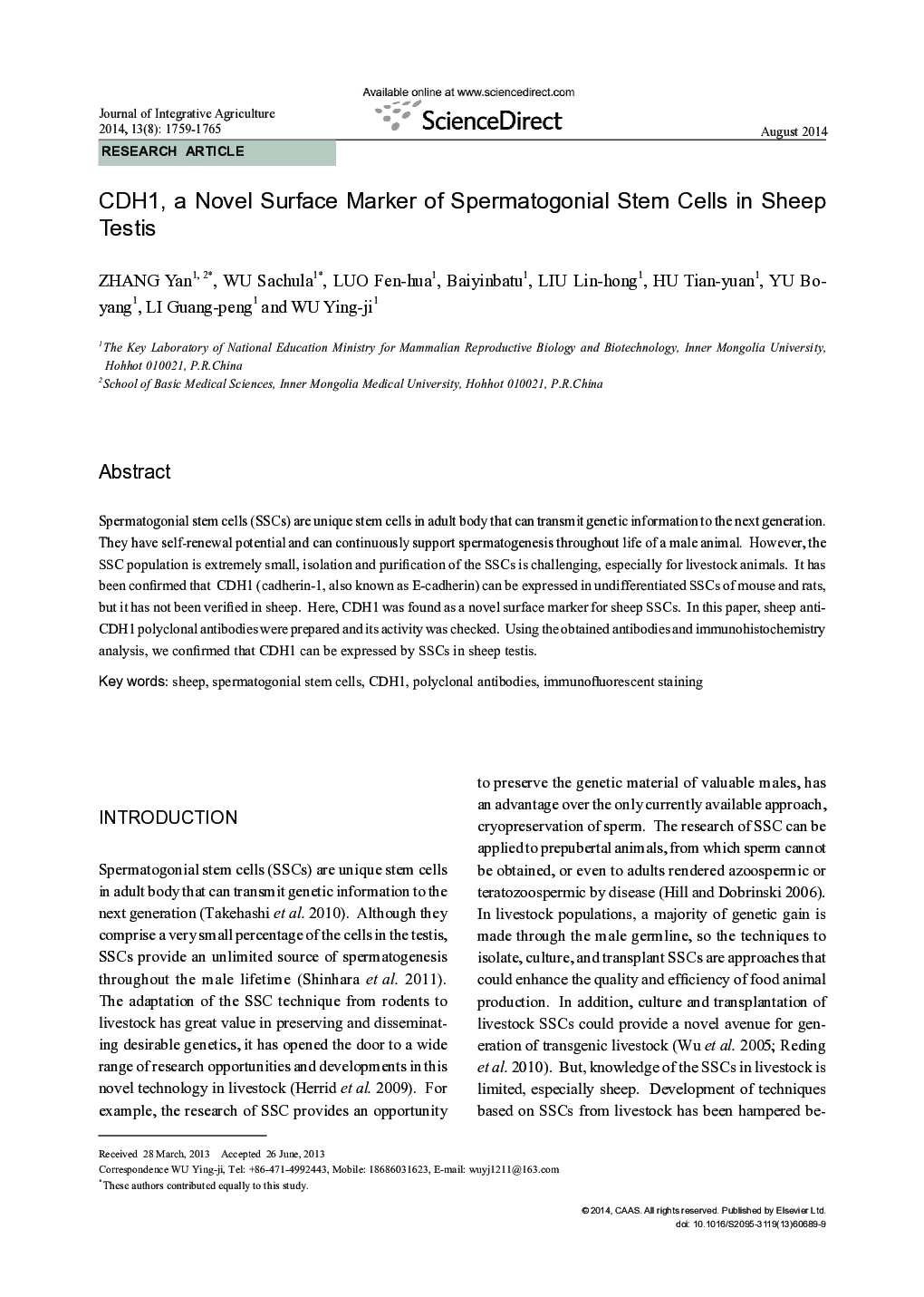 CDH1, a Novel Surface Marker of Spermatogonial Stem Cells in Sheep Testis