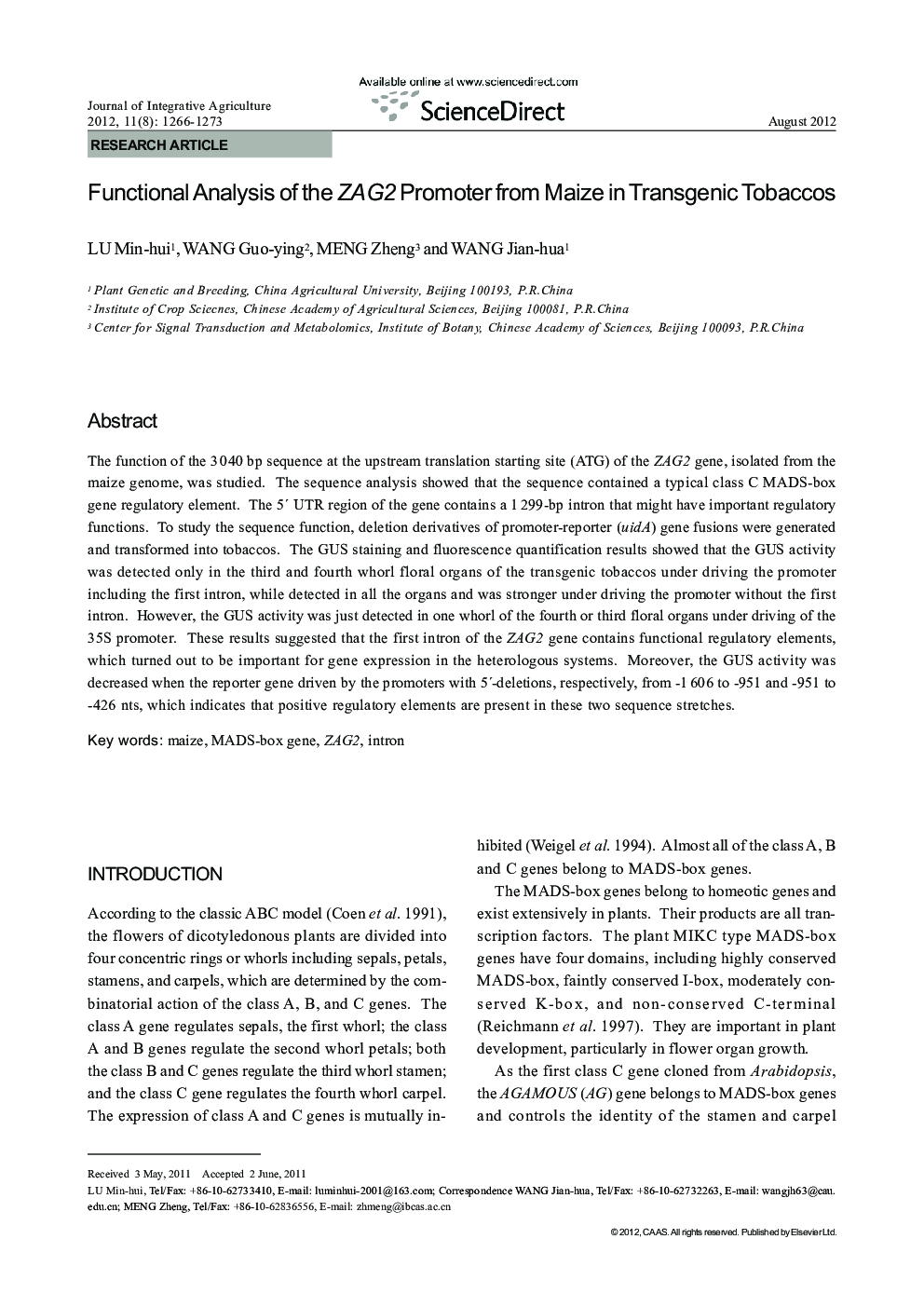 Functional Analysis of the ZAG2 Promoter from Maize in Transgenic Tobaccos
