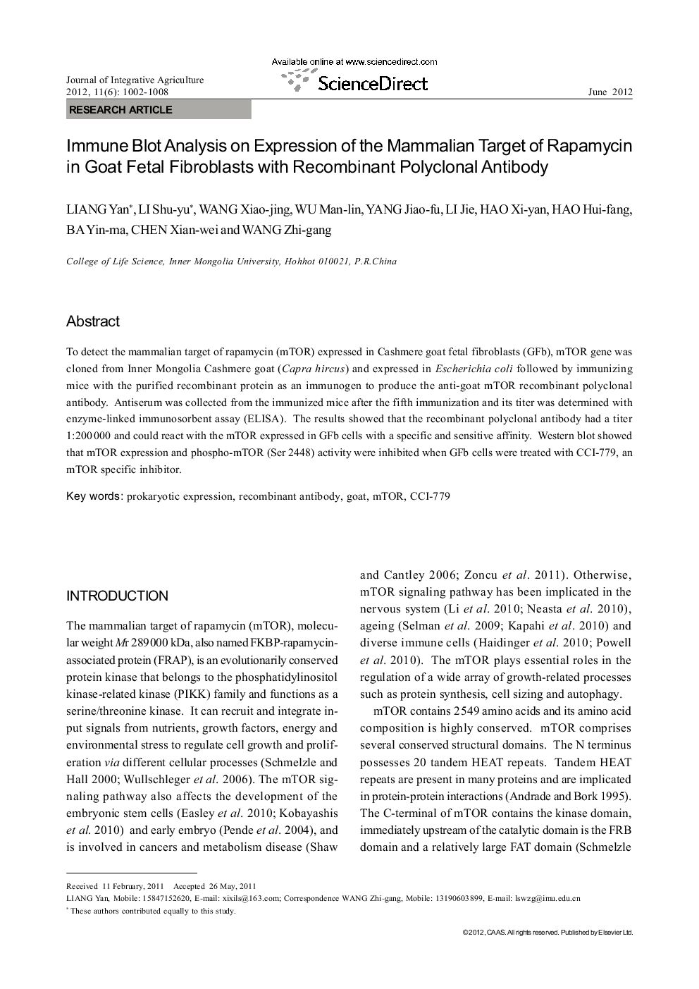 Immune Blot Analysis on Expression of the Mammalian Target of Rapamycin in Goat Fetal Fibroblasts with Recombinant Polyclonal Antibody