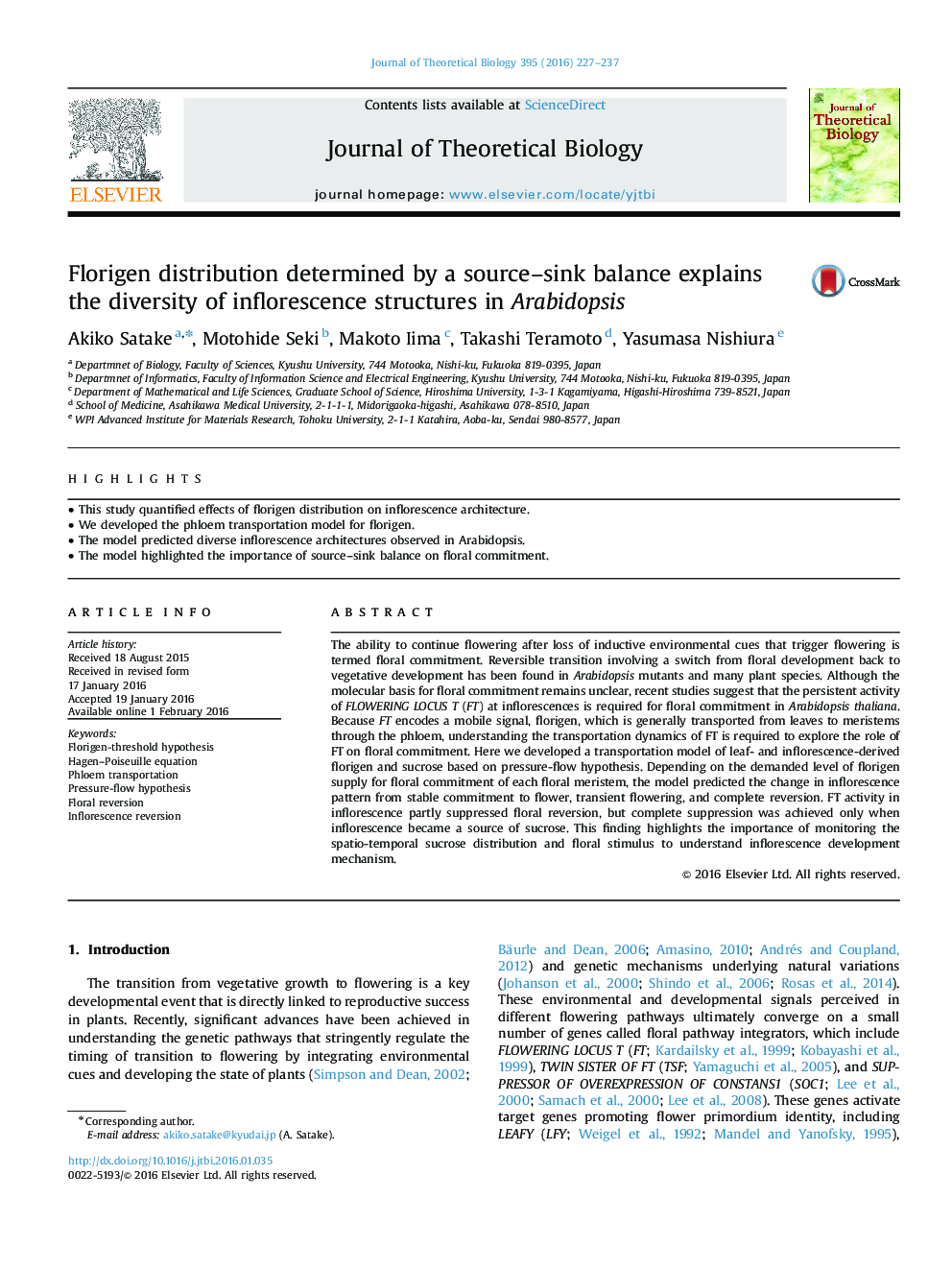 Florigen distribution determined by a source–sink balance explains the diversity of inflorescence structures in Arabidopsis