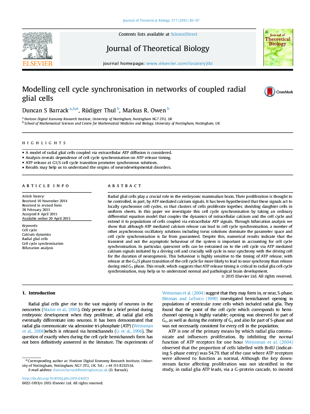 Modelling cell cycle synchronisation in networks of coupled radial glial cells