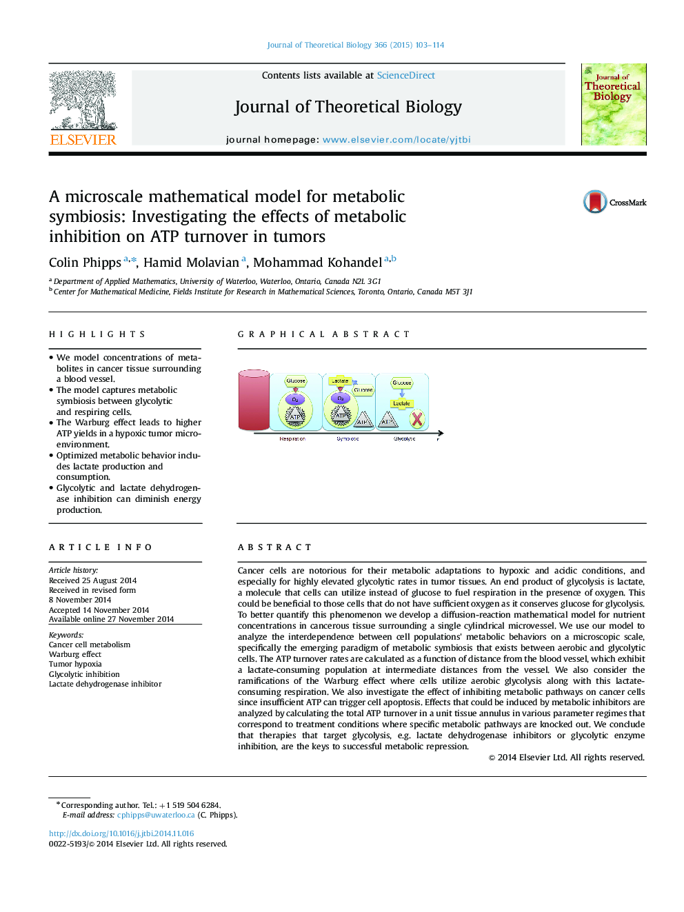 A microscale mathematical model for metabolic symbiosis: Investigating the effects of metabolic inhibition on ATP turnover in tumors