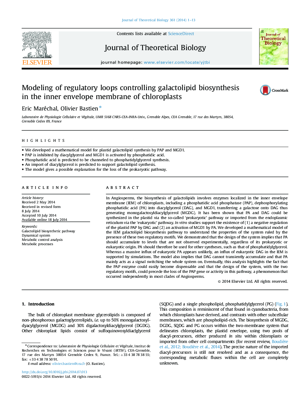 Modeling of regulatory loops controlling galactolipid biosynthesis in the inner envelope membrane of chloroplasts