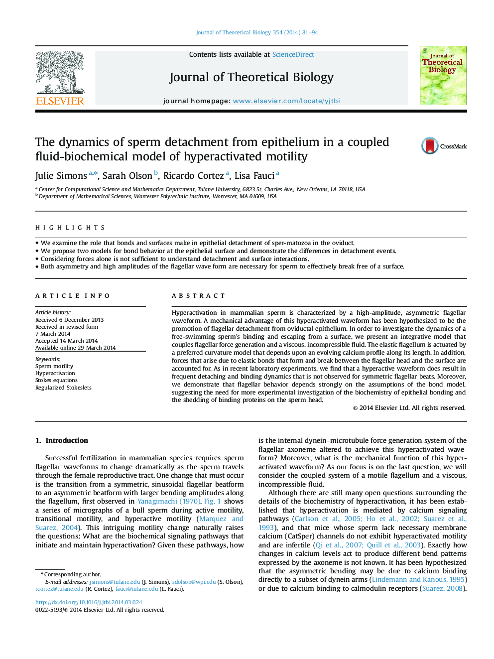 The dynamics of sperm detachment from epithelium in a coupled fluid-biochemical model of hyperactivated motility