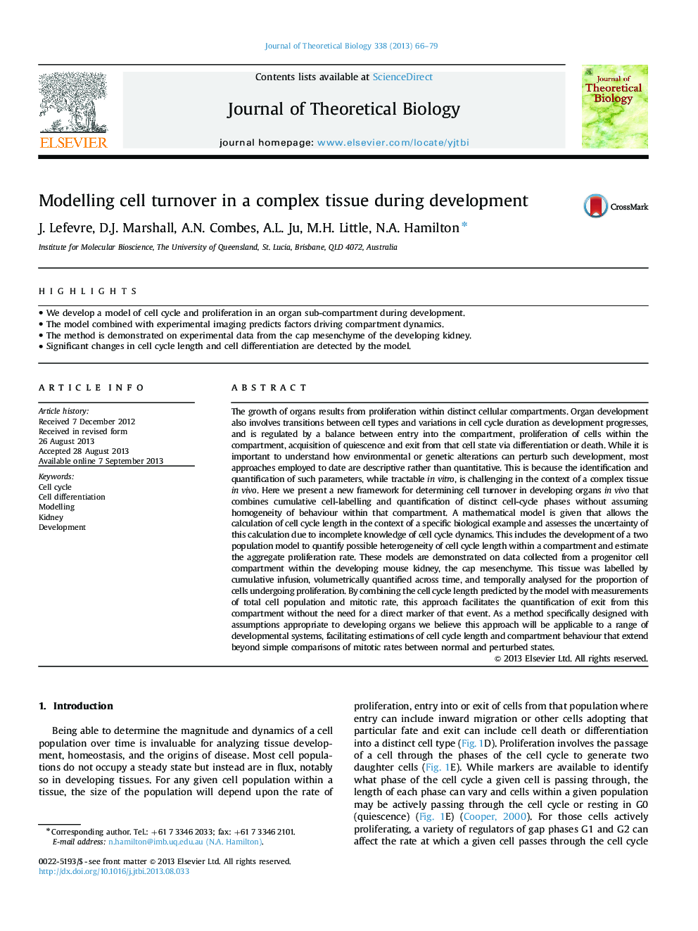 Modelling cell turnover in a complex tissue during development