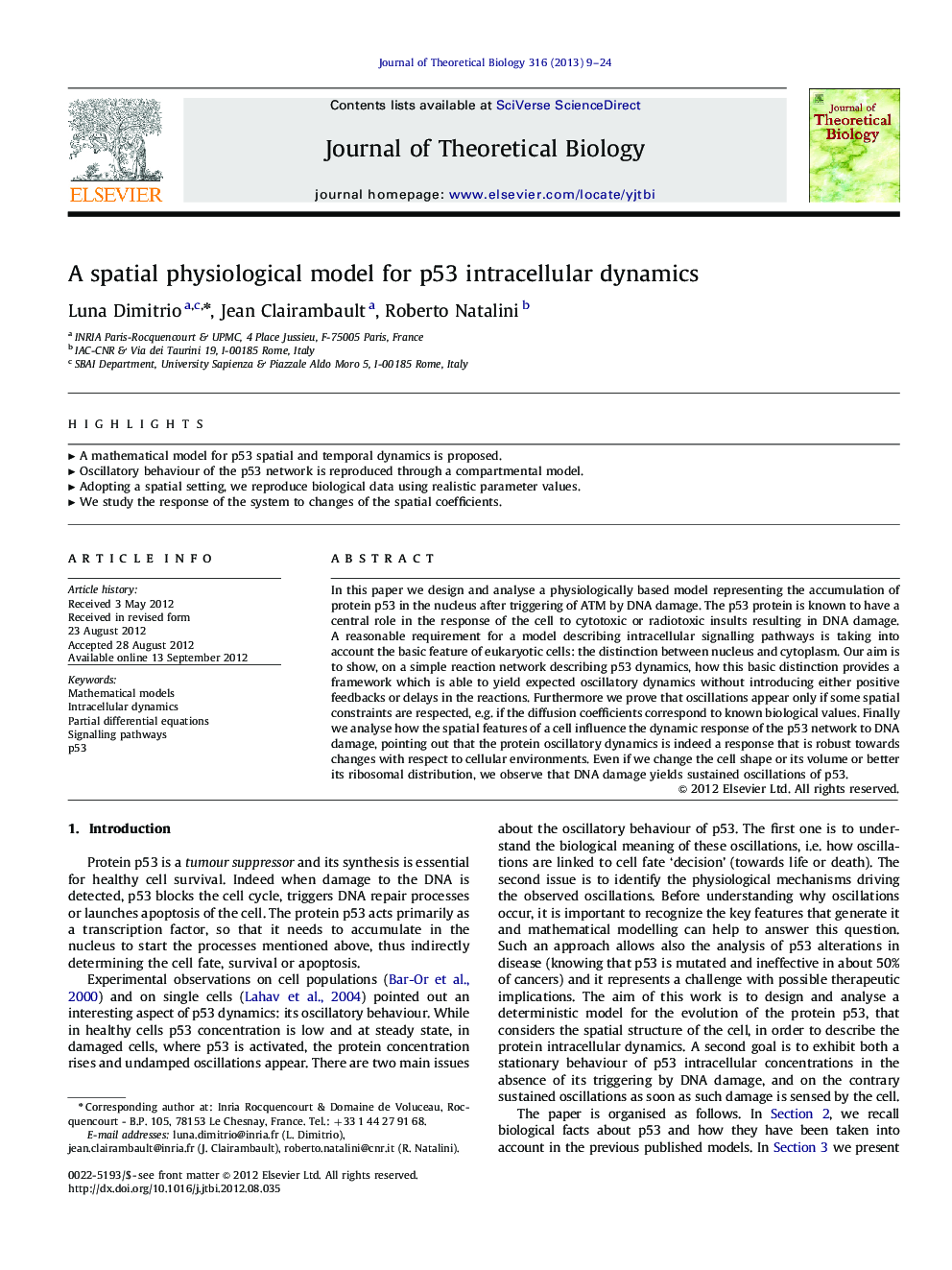 A spatial physiological model for p53 intracellular dynamics