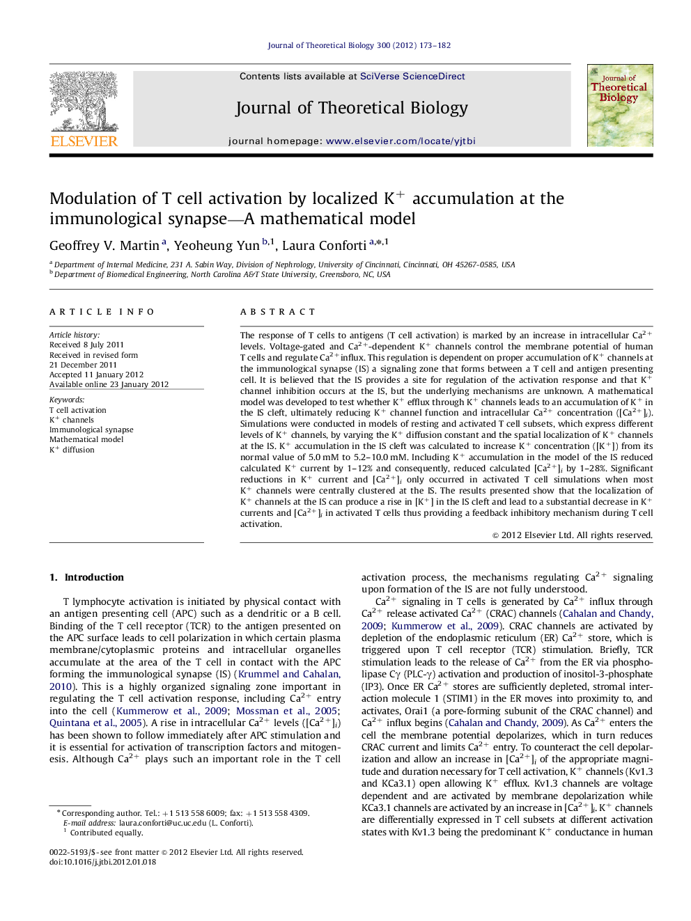 Modulation of T cell activation by localized K+ accumulation at the immunological synapse—A mathematical model