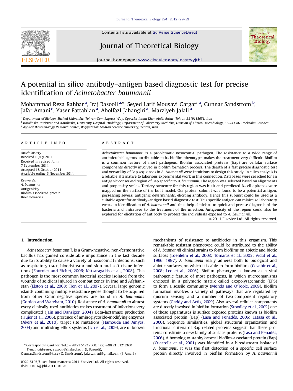 A potential in silico antibody–antigen based diagnostic test for precise identification of Acinetobacter baumannii