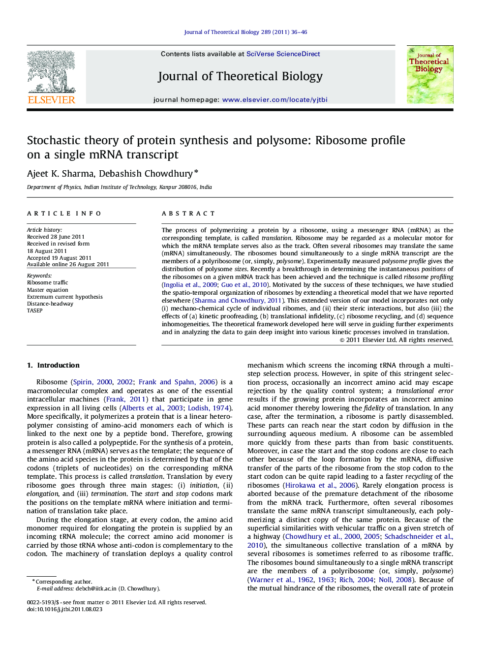 Stochastic theory of protein synthesis and polysome: Ribosome profile on a single mRNA transcript