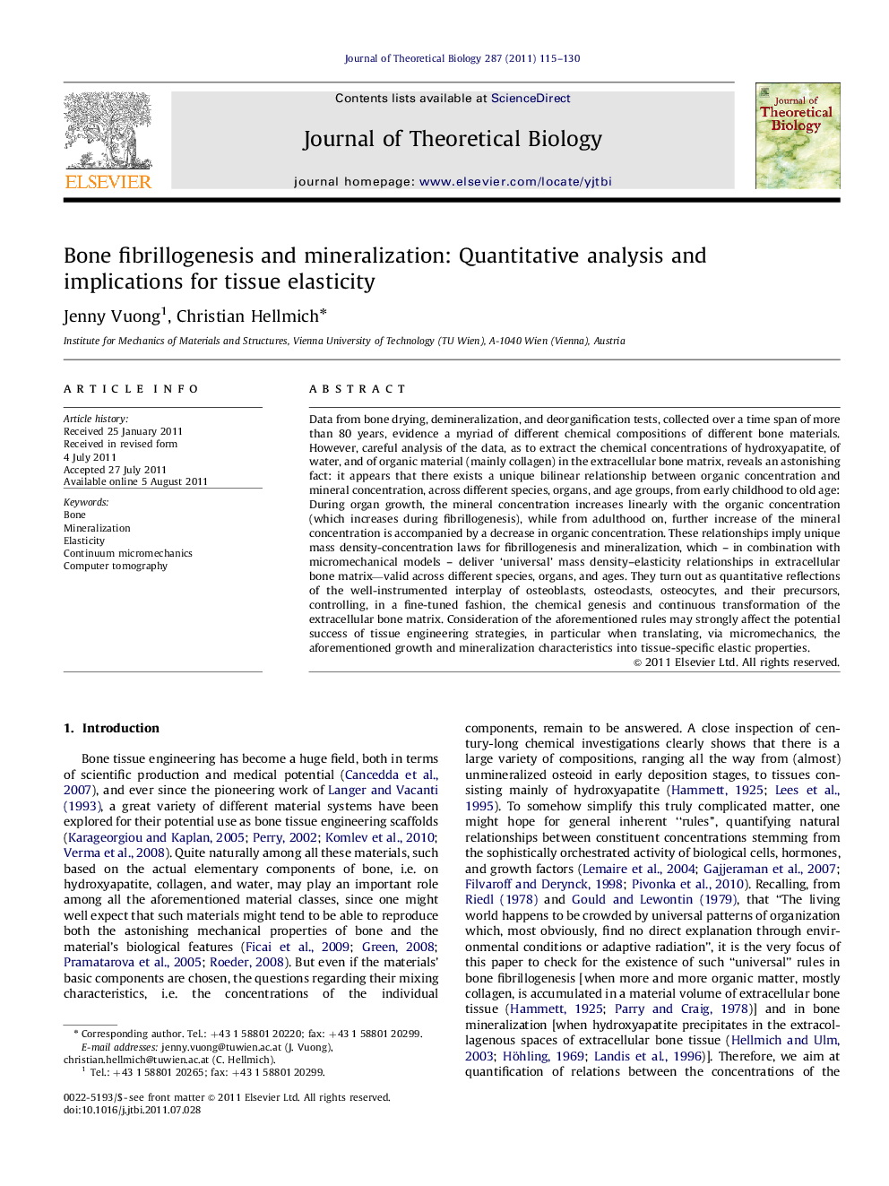 Bone fibrillogenesis and mineralization: Quantitative analysis and implications for tissue elasticity