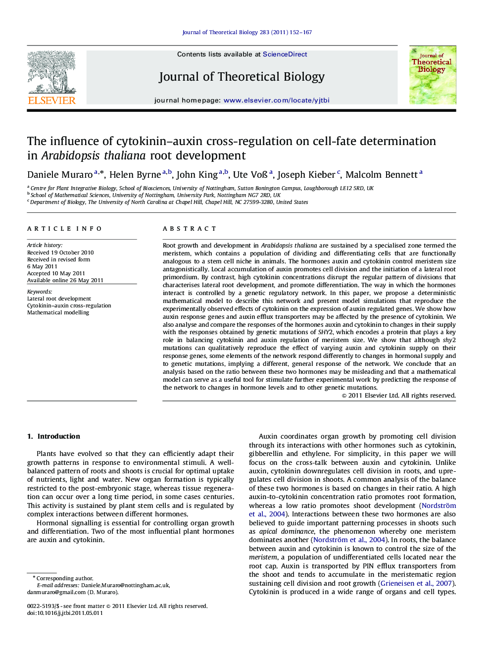 The influence of cytokinin–auxin cross-regulation on cell-fate determination in Arabidopsis thaliana root development