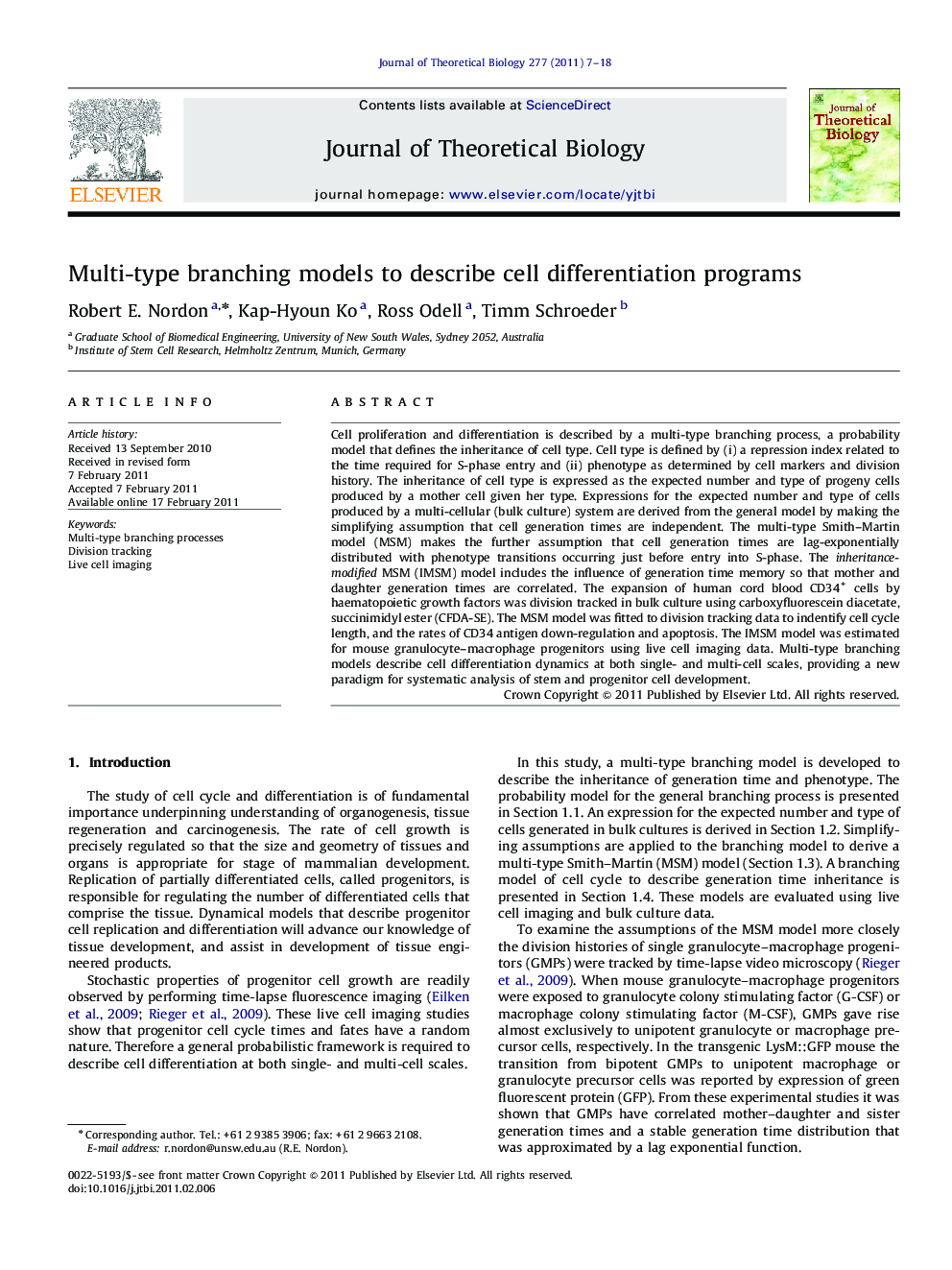 Multi-type branching models to describe cell differentiation programs