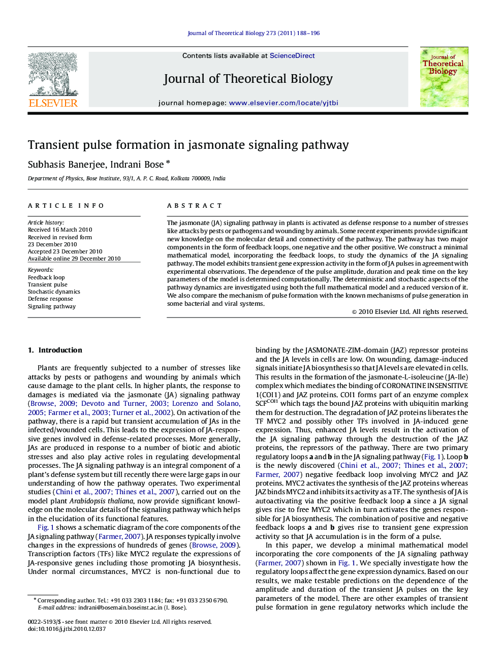 Transient pulse formation in jasmonate signaling pathway