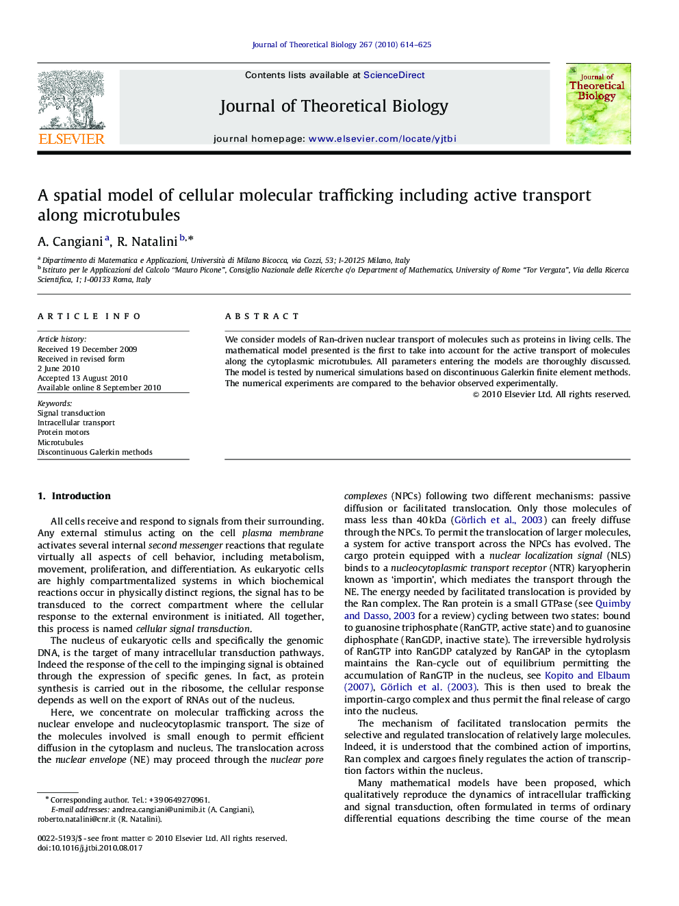 A spatial model of cellular molecular trafficking including active transport along microtubules