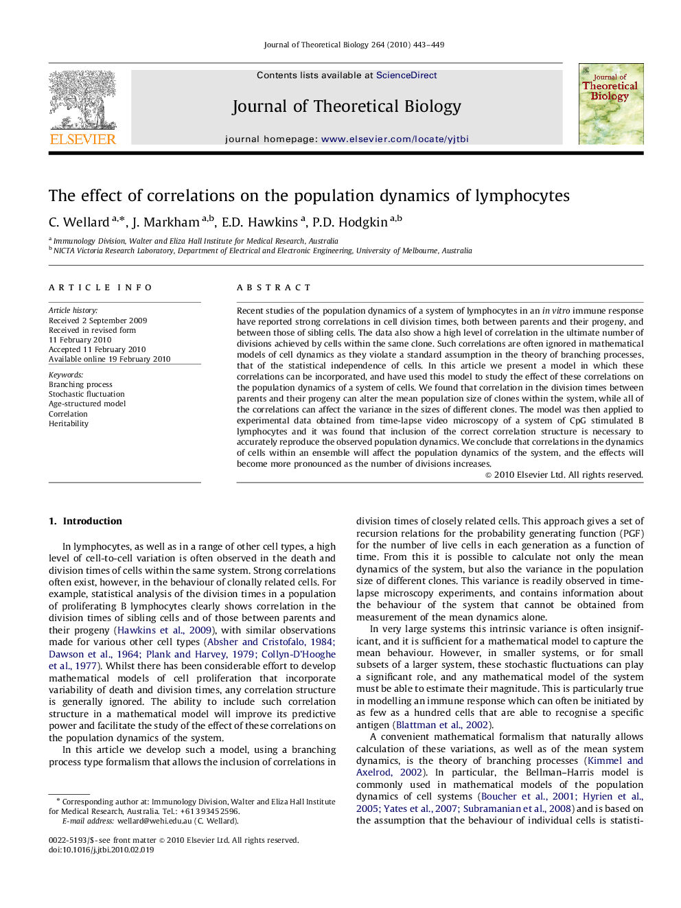 The effect of correlations on the population dynamics of lymphocytes