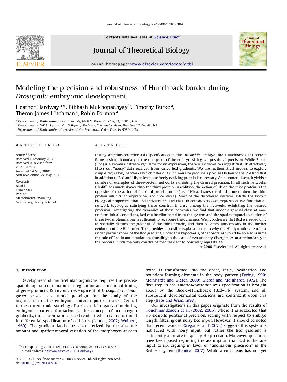 Modeling the precision and robustness of Hunchback border during Drosophila embryonic development