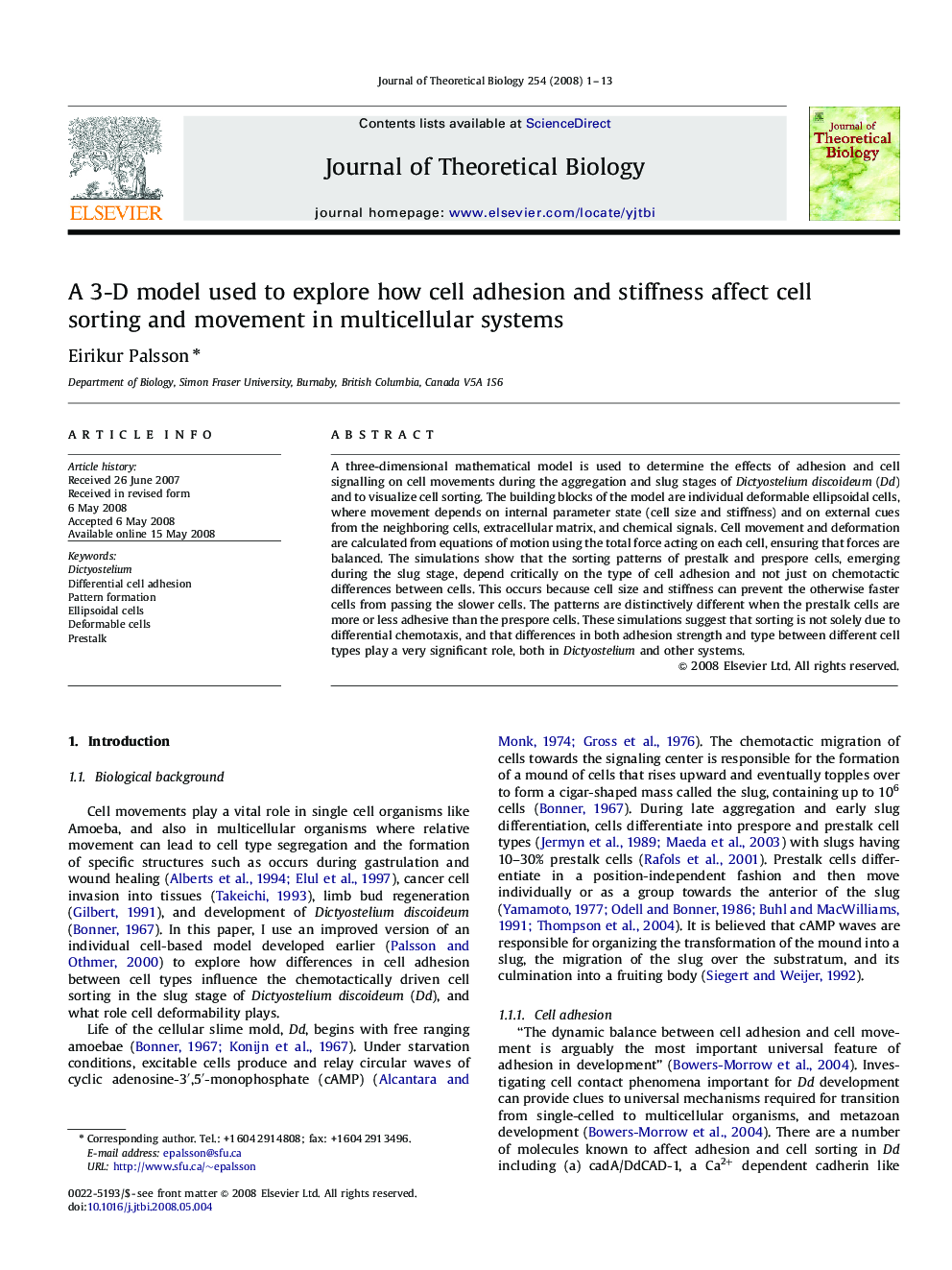 A 3-D model used to explore how cell adhesion and stiffness affect cell sorting and movement in multicellular systems