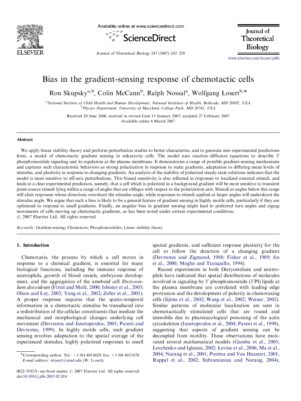 Bias in the gradient-sensing response of chemotactic cells