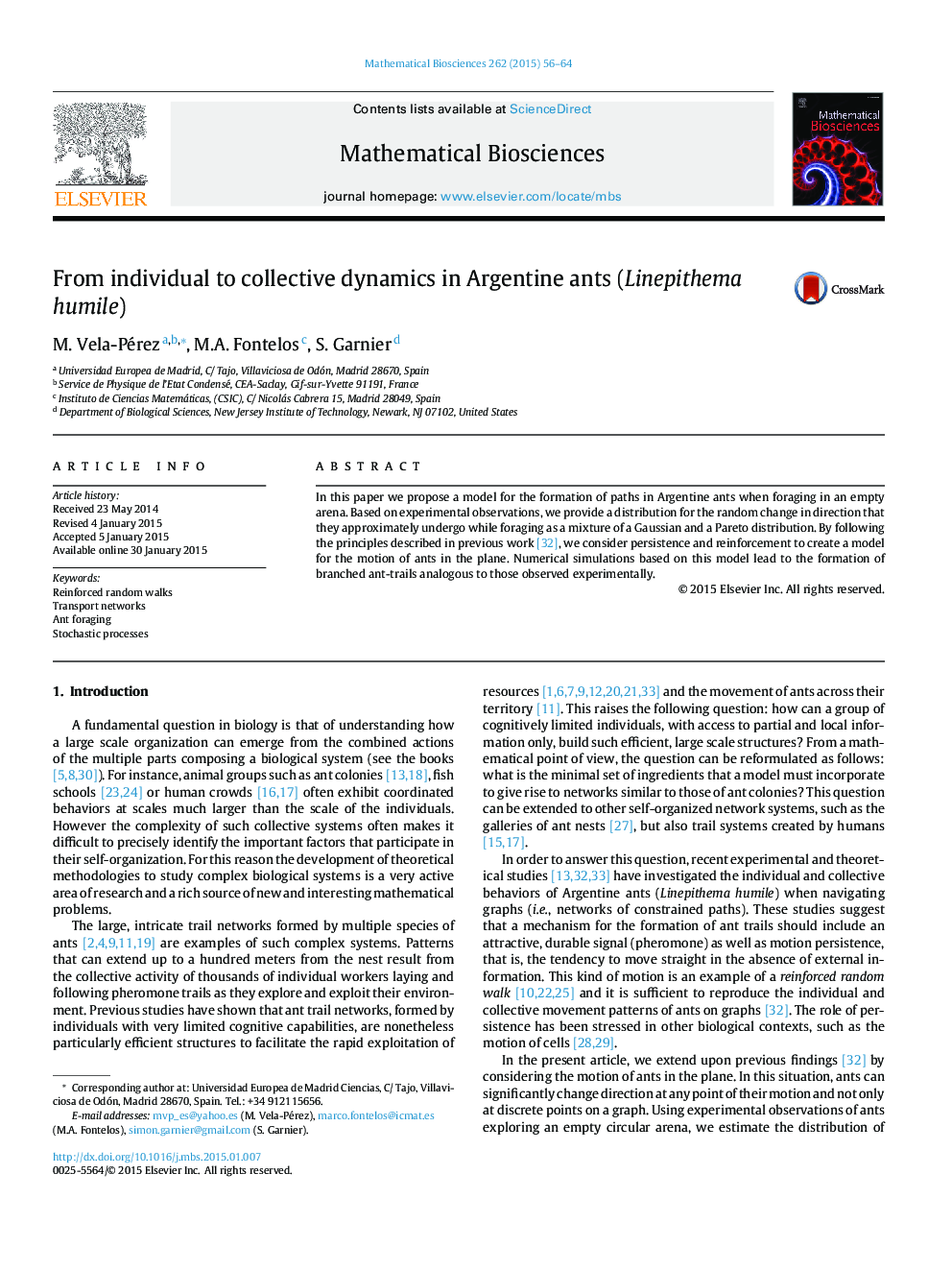 From individual to collective dynamics in Argentine ants (Linepithema humile)