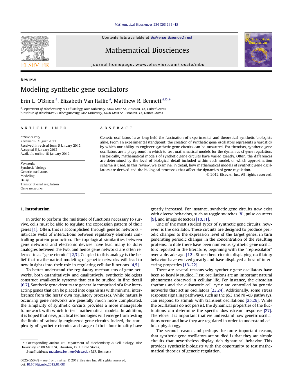 Modeling synthetic gene oscillators