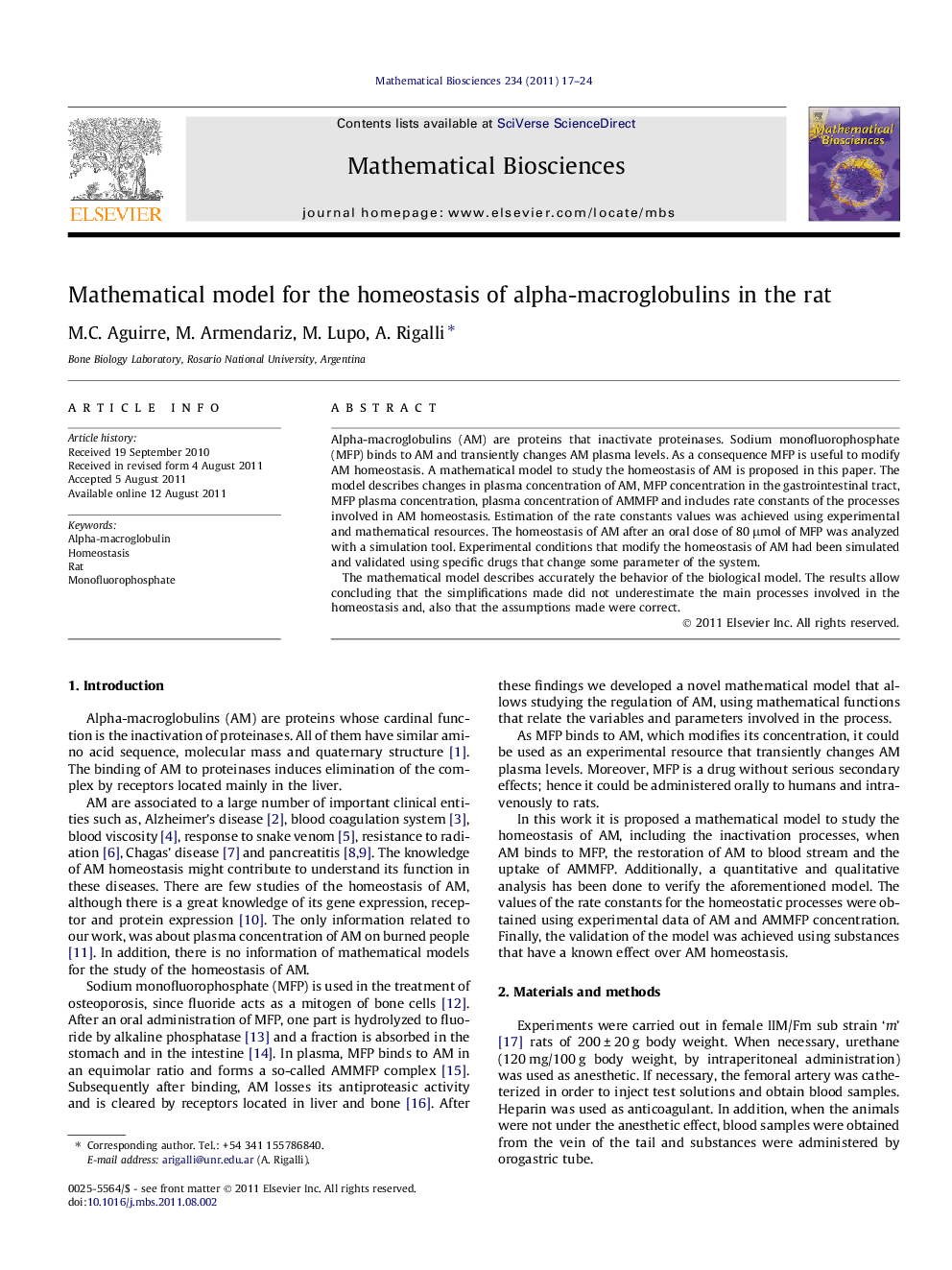 Mathematical model for the homeostasis of alpha-macroglobulins in the rat