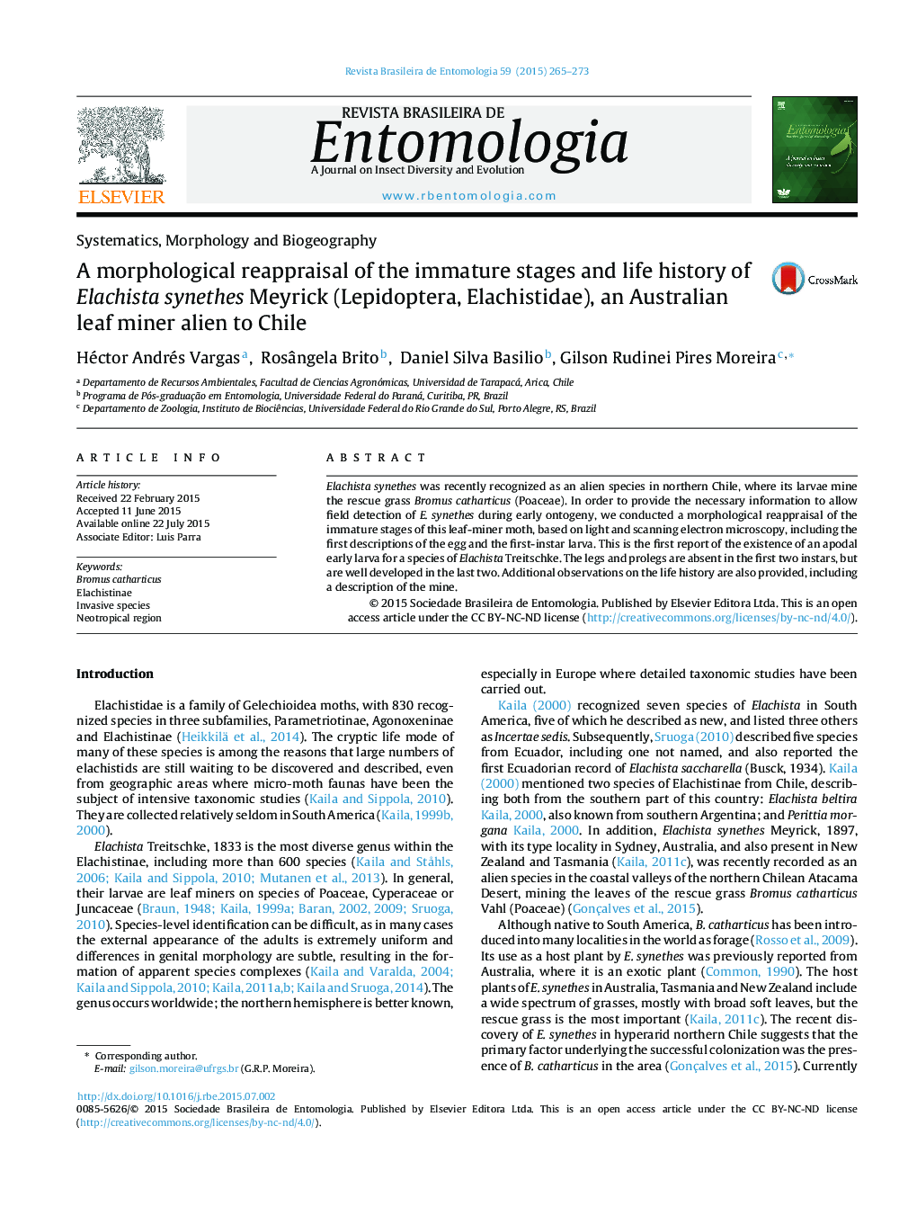 A morphological reappraisal of the immature stages and life history of Elachista synethes Meyrick (Lepidoptera, Elachistidae), an Australian leaf miner alien to Chile