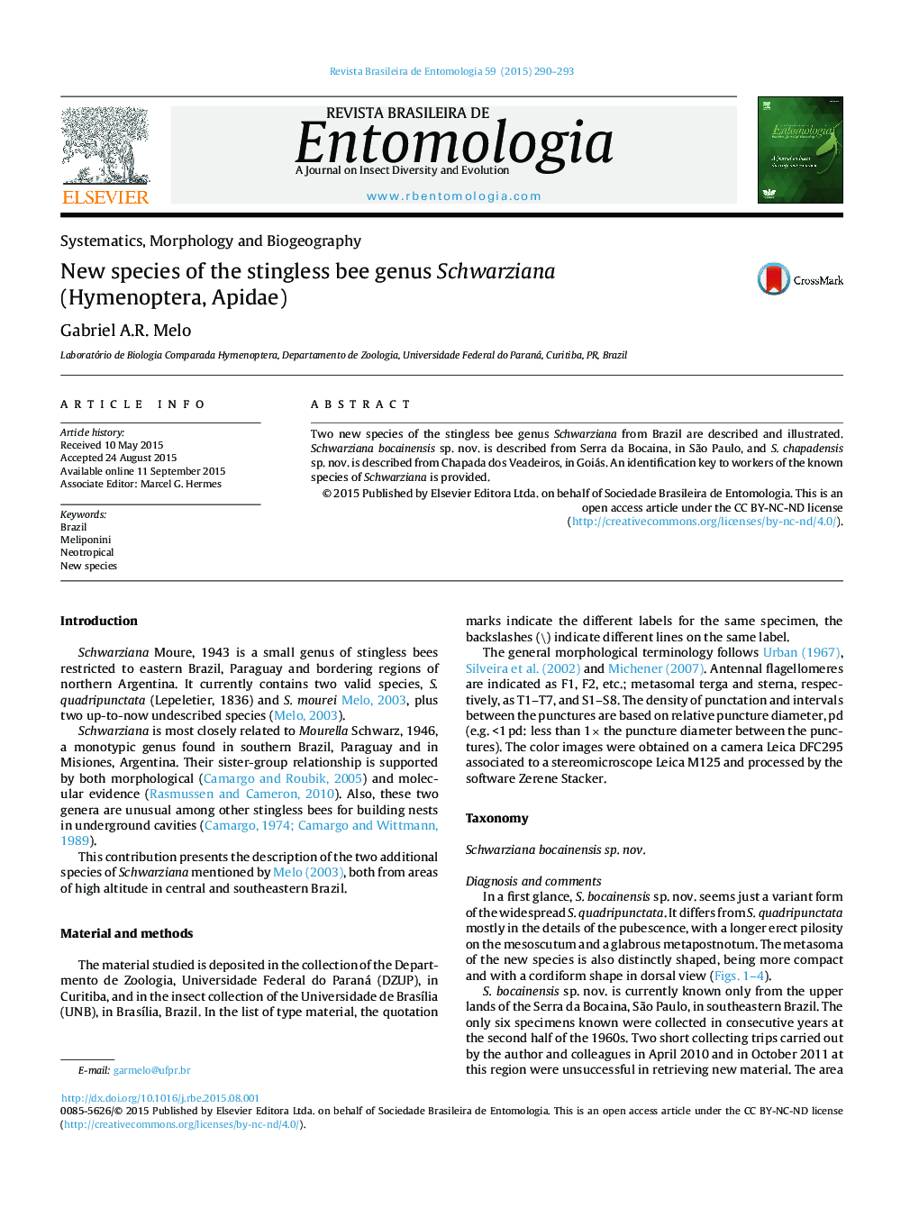 New species of the stingless bee genus Schwarziana (Hymenoptera, Apidae)