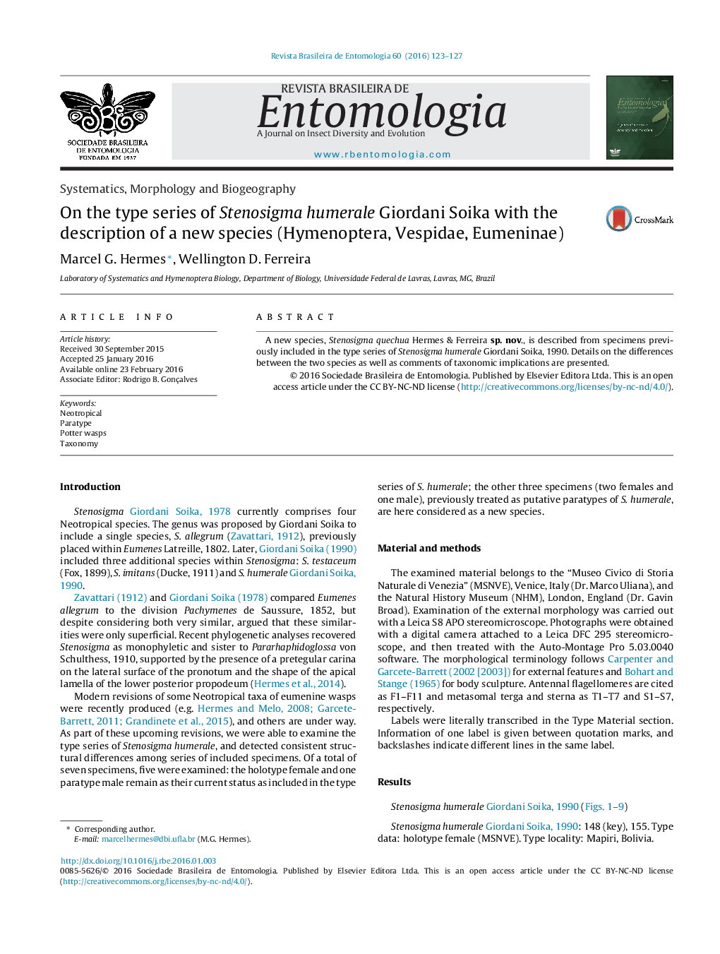 On the type series of Stenosigma humerale Giordani Soika with the description of a new species (Hymenoptera, Vespidae, Eumeninae)