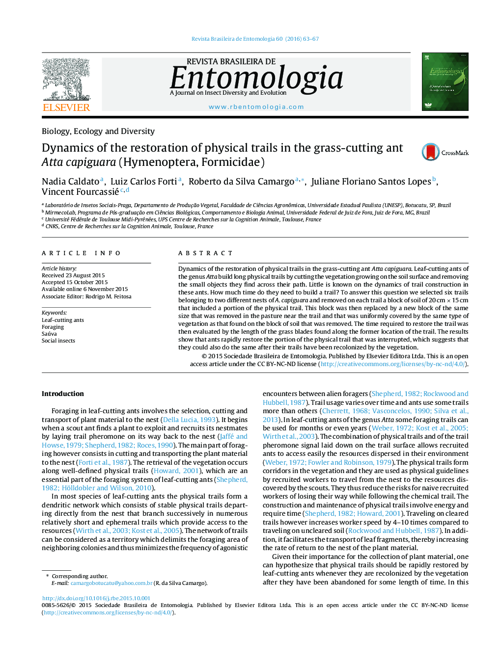 Dynamics of the restoration of physical trails in the grass-cutting ant Atta capiguara (Hymenoptera, Formicidae)