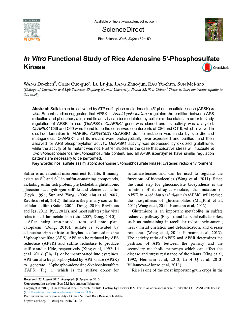 In Vitro Functional Study of Rice Adenosine 5’-Phosphosulfate Kinase 