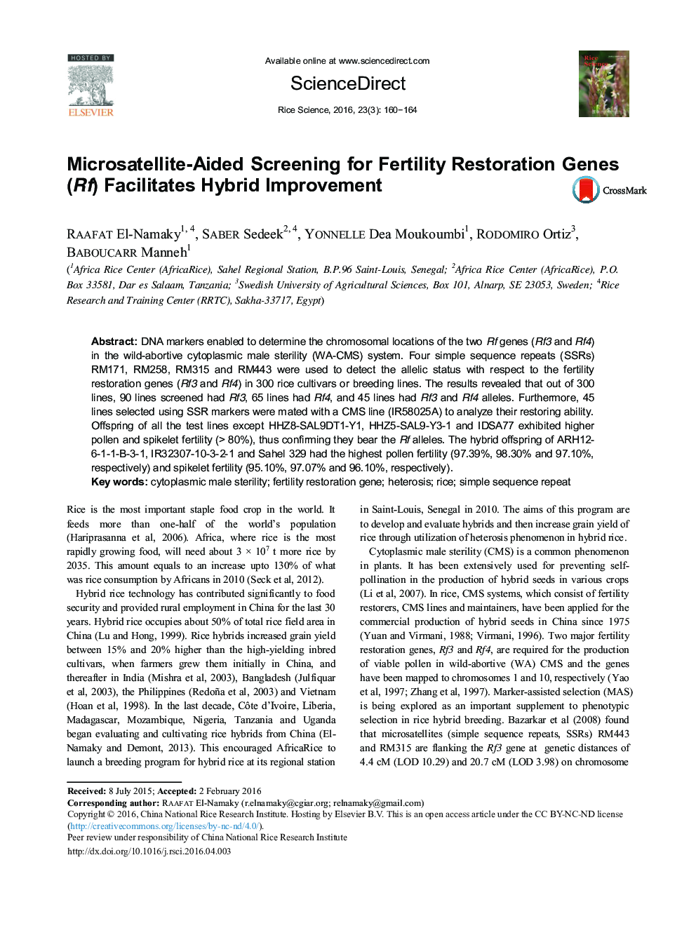 Microsatellite-Aided Screening for Fertility Restoration Genes (Rf) Facilitates Hybrid Improvement 