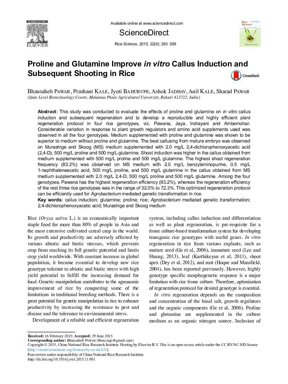 Proline and Glutamine Improve in vitro Callus Induction and Subsequent Shooting in Rice 