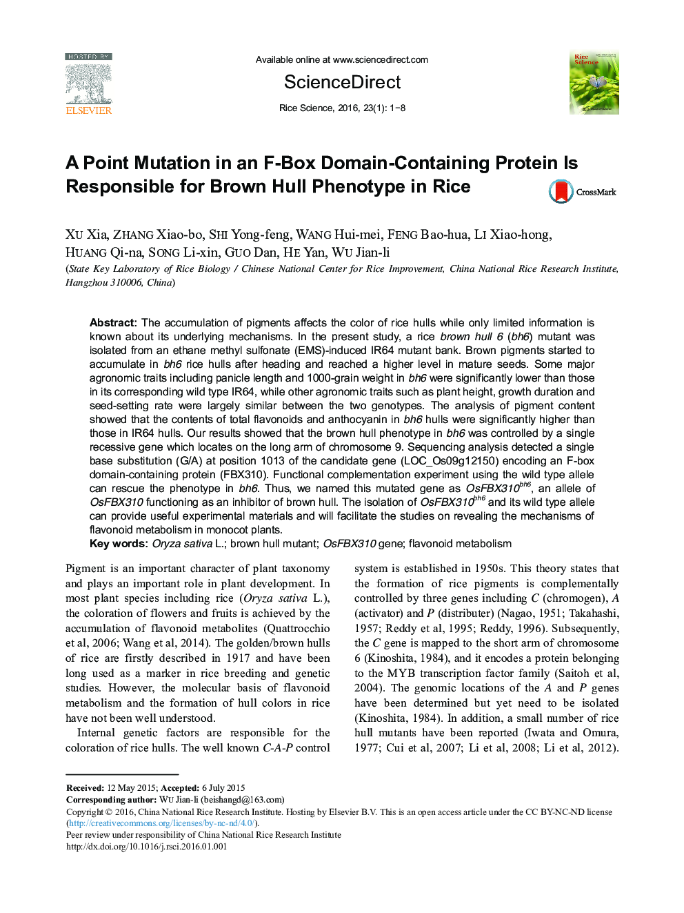 A Point Mutation in an F-Box Domain-Containing Protein Is Responsible for Brown Hull Phenotype in Rice 