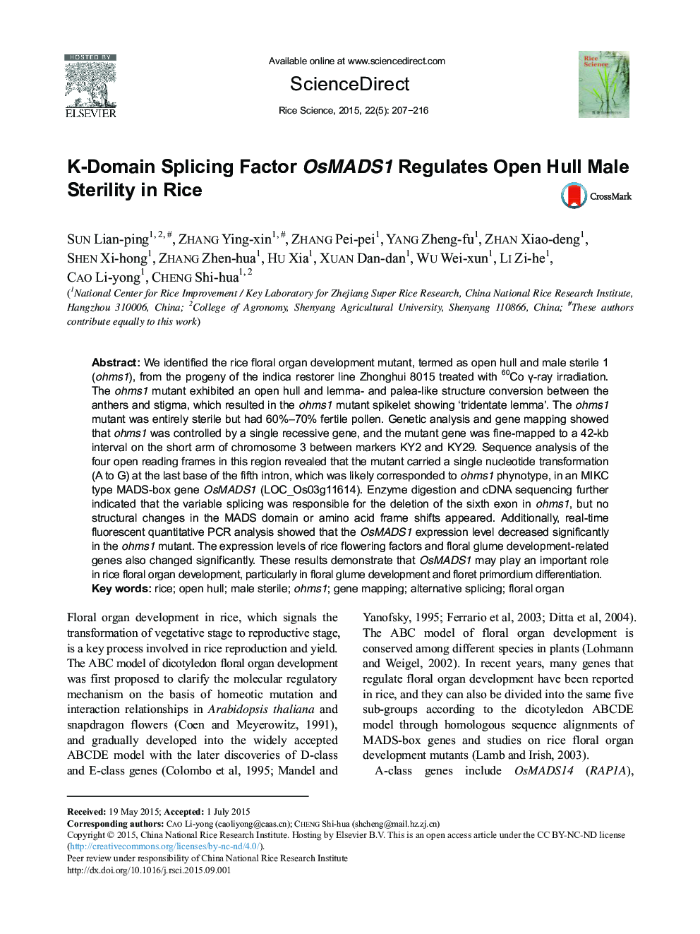 K-Domain Splicing Factor OsMADS1 Regulates Open Hull Male Sterility in Rice