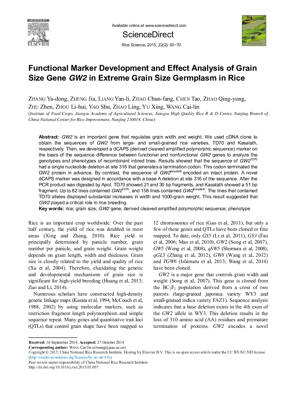 Functional Marker Development and Effect Analysis of Grain Size Gene GW2 in Extreme Grain Size Germplasm in Rice 