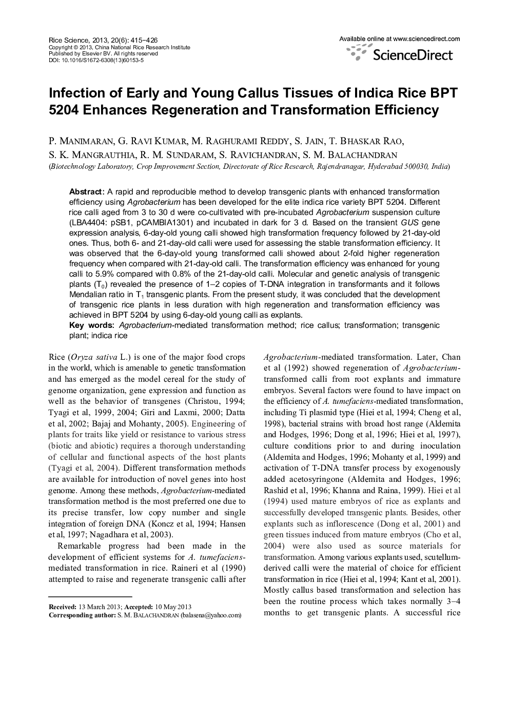 Infection of Early and Young Callus Tissues of Indica Rice BPT 5204 Enhances Regeneration and Transformation Efficiency