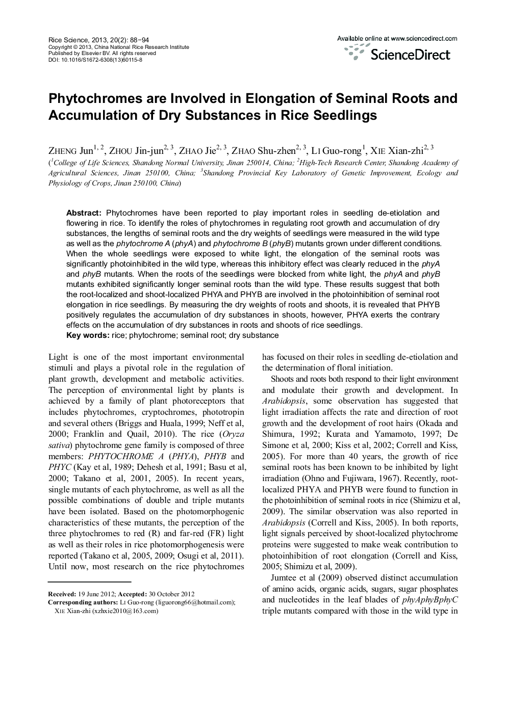 Phytochromes are Involved in Elongation of Seminal Roots and Accumulation of Dry Substances in Rice Seedlings