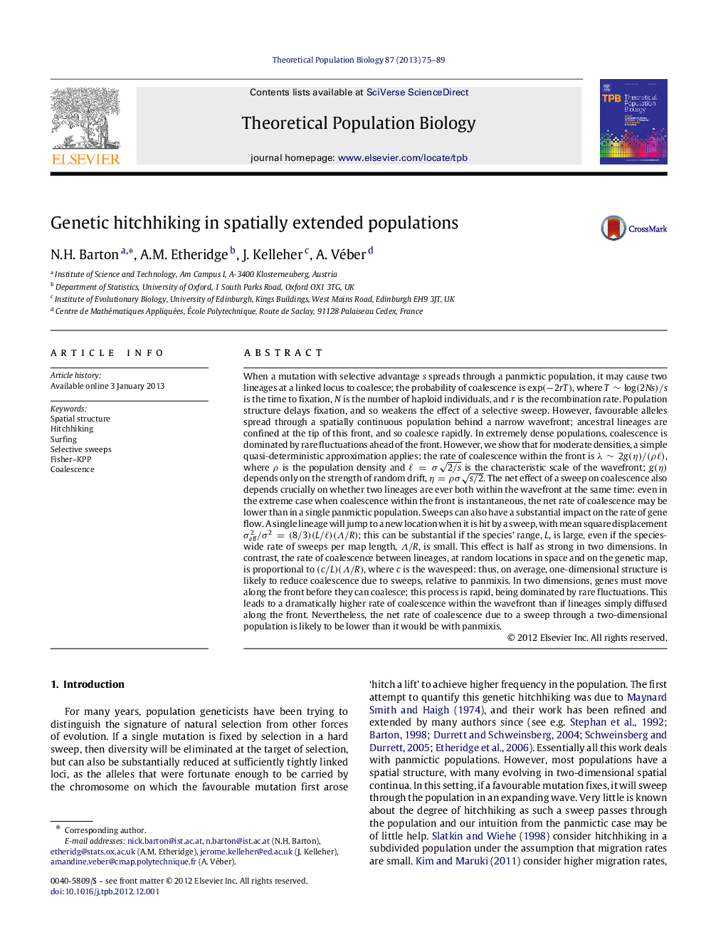 Genetic hitchhiking in spatially extended populations