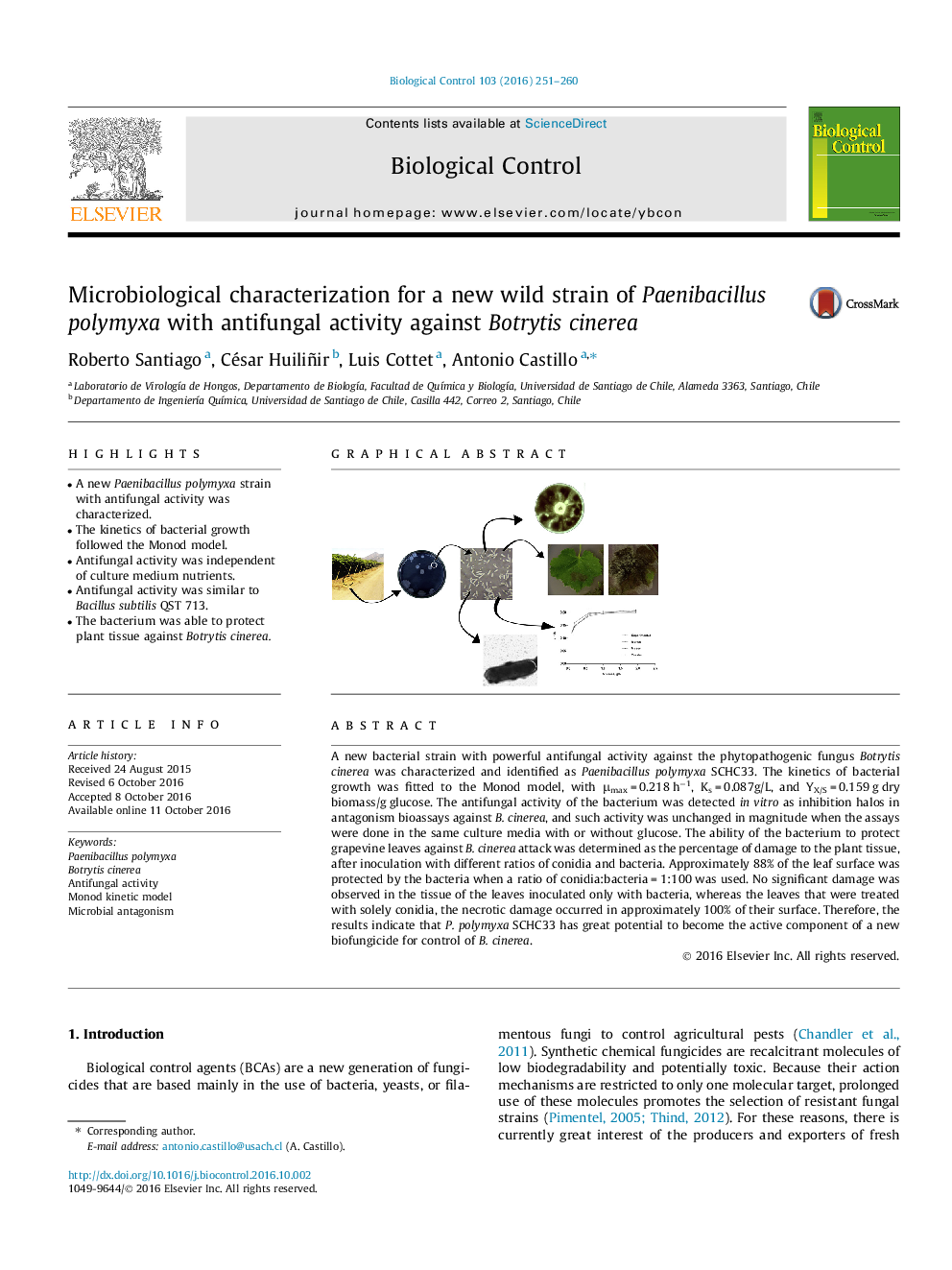 Microbiological characterization for a new wild strain of Paenibacillus polymyxa with antifungal activity against Botrytis cinerea