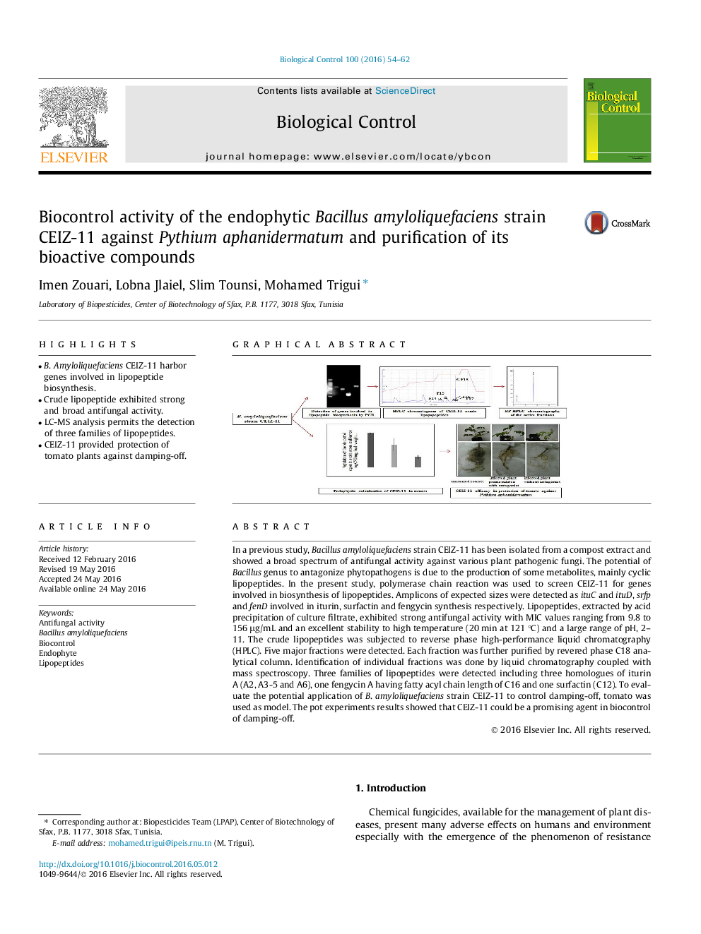 Biocontrol activity of the endophytic Bacillus amyloliquefaciens strain CEIZ-11 against Pythium aphanidermatum and purification of its bioactive compounds